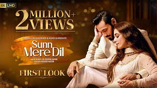 Sunn Mere Dil  First Look  Ft Wahaj Ali Maya Ali  Har Pal Geo [upl. by Namus]