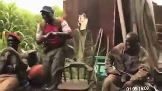 Chimpanzee monkey shoots AK 47 Full video [upl. by Atnwahsal796]