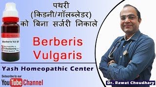 Uses of Berberis Vulgaris in Kidney Stone  Best medicine for kidney stone [upl. by Omsare]