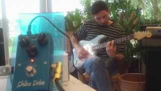 SUHR SHIBA DRIVE  test by Sylvain Gambini [upl. by Ahseenal]