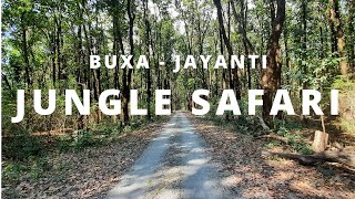 Jungle safari at Buxa Tiger Reserve Forest on December 2020 [upl. by Kirimia]