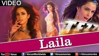 Laila Full Song Official Tezz [upl. by Scrope]