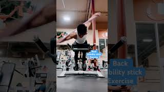 Mobility back stick exercise motivation funny short mobilitywork [upl. by Esilahc]