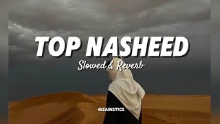 quotTop Nasheeds playlistquot Muhammad Al Muqit Nasheed SpedupSlowed amp reverb  Arabic Nasheed no music [upl. by Yesnil]