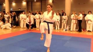 GKR Karate National Championships 2012 Sheffield [upl. by Ainotahs]