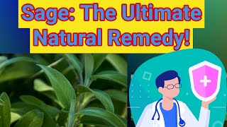 Discover How Sage Can Transform Your Health [upl. by Name]