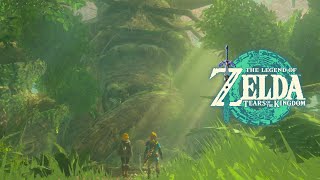 Der DekuBaum  The Legend of Zelda Tears of the Kingdom Lets Play DEGER 21 [upl. by Ibson]