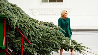 LIVE First Lady Jill Biden Receives 2024 Christmas Tree at the White House [upl. by Friedberg621]