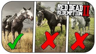 How to get the MISSOURI FOX TROTTER FASTEST Horse In RED DEAD REDEMPTION 2 [upl. by Nylaras]