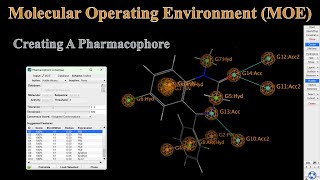 How To Create And Use A Pharmacophore In MOE  MOE Tutorial [upl. by Relda]