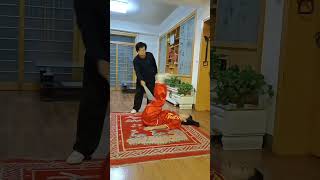 Martial Arts Training no 156❤️👍 shorts shortvideo youtubeshorts [upl. by Bryana]