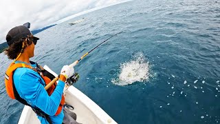 The Fishing Trip of Our DREAMS in Panama CATCH CLEAN COOK MultiSpecies [upl. by Selegna]