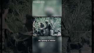 101st Airborne in Vietnam 1967  Pt 10 [upl. by Gnap]