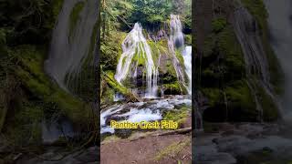 Panther Creek Falls [upl. by Donald222]