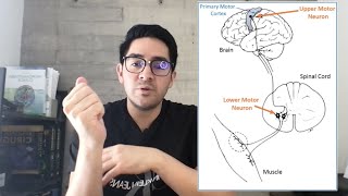 Fisiología de la contracción muscular [upl. by Ettenyl]