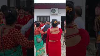 khatra aayo dance chari jelaima The Wild Adventure360°  vairalvideo  TheWildAdventure360 [upl. by Ecire690]