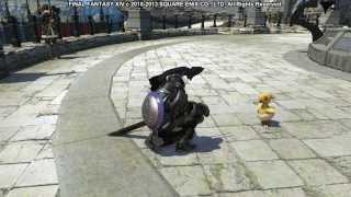 Final Fantasy XIV Minions  Wayward Hatchling [upl. by Schear]