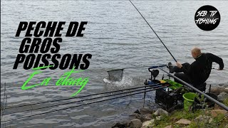 💥PÊCHE des GROS POISSONS en ÉTANG  CANNE au COUP [upl. by Hatch422]