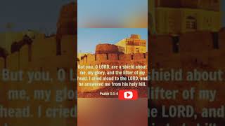 quotThe Lord My Shield and Answerquot Psalms 334 06112024🙏shorts shortsfeed bibleverse bible [upl. by Wooster]