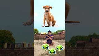 Alien ￼had to dog cat monkey amp tiger animals vfx funny video animals shorts funny trending [upl. by Kong972]