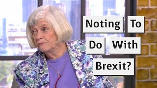 Ann Widdecombe Tries To Dismiss Brexit Problems [upl. by Enahc]