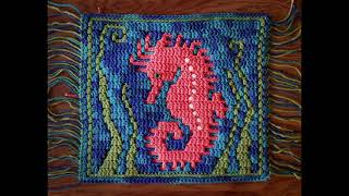 Stopmotion animation of my newest crochet creation  Sammy the Seahorse [upl. by Ennairek]