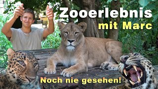 Besuch im Zoo in Italien  Zoobesuch mit Überraschungen im Parco Faunistico Valcorba  Zooerlebnis [upl. by Weitzman]