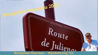 153 Beaujolais Nouveau Wijnbeleving TV153 [upl. by Madelon782]