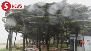 Trees uprooted streets flooded as Super Typhoon Yagi strikes Chinas Hainan [upl. by Landry518]