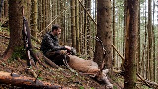 Wölfe – Hirschjagd in den Karpaten zur Brunft Teil 2 – Hunt on Demand Trailer [upl. by Ruffin]