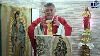 Homilía de hoy  Memoria de Santa Lucía  13122023  Pbro Santiago Martín FM [upl. by Azilef]