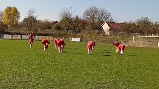 Kantonalna LigaNk Mladost Bosanski Petrovac vs Nk Omladinac Sanica 72  6 Kolo [upl. by Bernita]