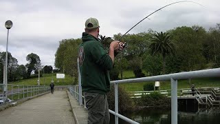 PESCA DE GRANDES TRUCHAS Y TRUCHA GIGANTE ME ENGAÑA FISHINGTROUT [upl. by Giuseppe316]