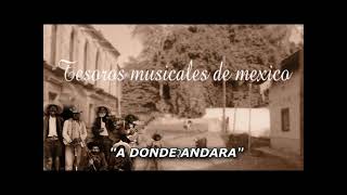 TESOROS MUSICALES DE MEXICO 8 CANCIONES PEGADITAS [upl. by Olshausen561]