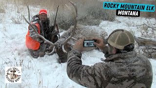 Awesome Hunt for Elk in Montana Snowstorm [upl. by Lasonde]