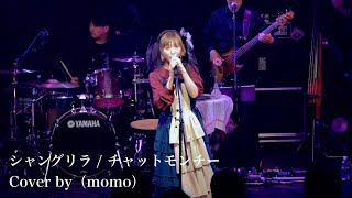 （momo）シャングリラ  チャットモンチー（cover）【LIVE】 [upl. by Kendal461]