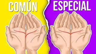 7 Cosas Que LAS PALMAS DE TUS MANOS Dicen Sobre Ti [upl. by Corilla20]