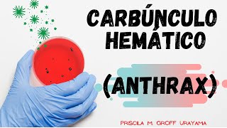 Carbúnculo hemático nos animais Anthrax ou Antraz [upl. by Nosretep]