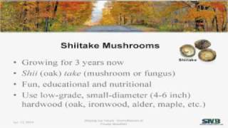 Growing shiitake mushrooms part 1 of 2 [upl. by Imerej]