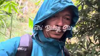 Vlog hari ini kegiatan inseminasi Buatan Pada sapi Simental di Hutan [upl. by Eno135]