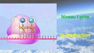 La traduction Lycée [upl. by Kcorb]