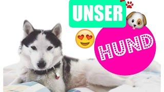 Unser Hund Nanuk Wir holen unseren Hund ab [upl. by Shanks]