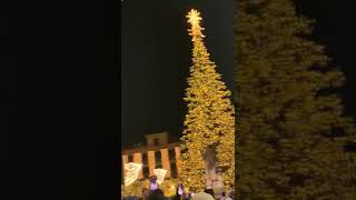 Accensione Luminarie e Albero di Natale a Sorrento servizio su Positanonewsit [upl. by Mariam235]