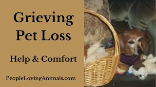 Dealing with Grief Over the Loss of a Pet  Coping Tips amp Comfort With Printable Rainbow Bridge Poem [upl. by Oneill532]