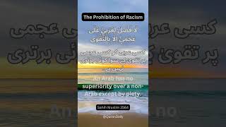 The Prohibition of Racism  Islamic Reminder  Quran Daily  hadith love hadithstudies [upl. by Jamin382]