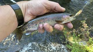 Pinecrest Lake Trout Fishing [upl. by Ahmed]