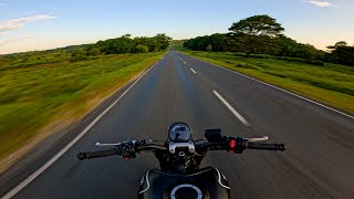 Welcome to the New Forest  Triumph Trident 660 Zard Exhaust  Quickshifter RAW AUDIO 4k [upl. by Enywad]