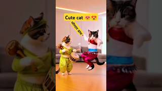 Cute cat dancing 😸 catdance cat shorts catshort funny dancingcat princesscat [upl. by Adile845]