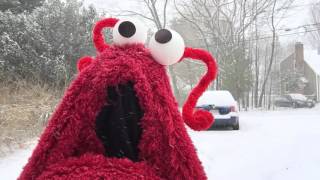 Yip Yip weather report for Massachusetts [upl. by Shell654]