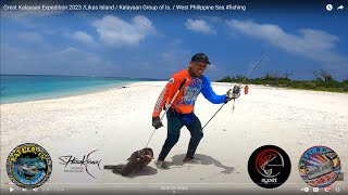 Black Grouper Likas Island  Kalayaan Group of Is  West Philippine Sea fishing [upl. by Nodnahs387]